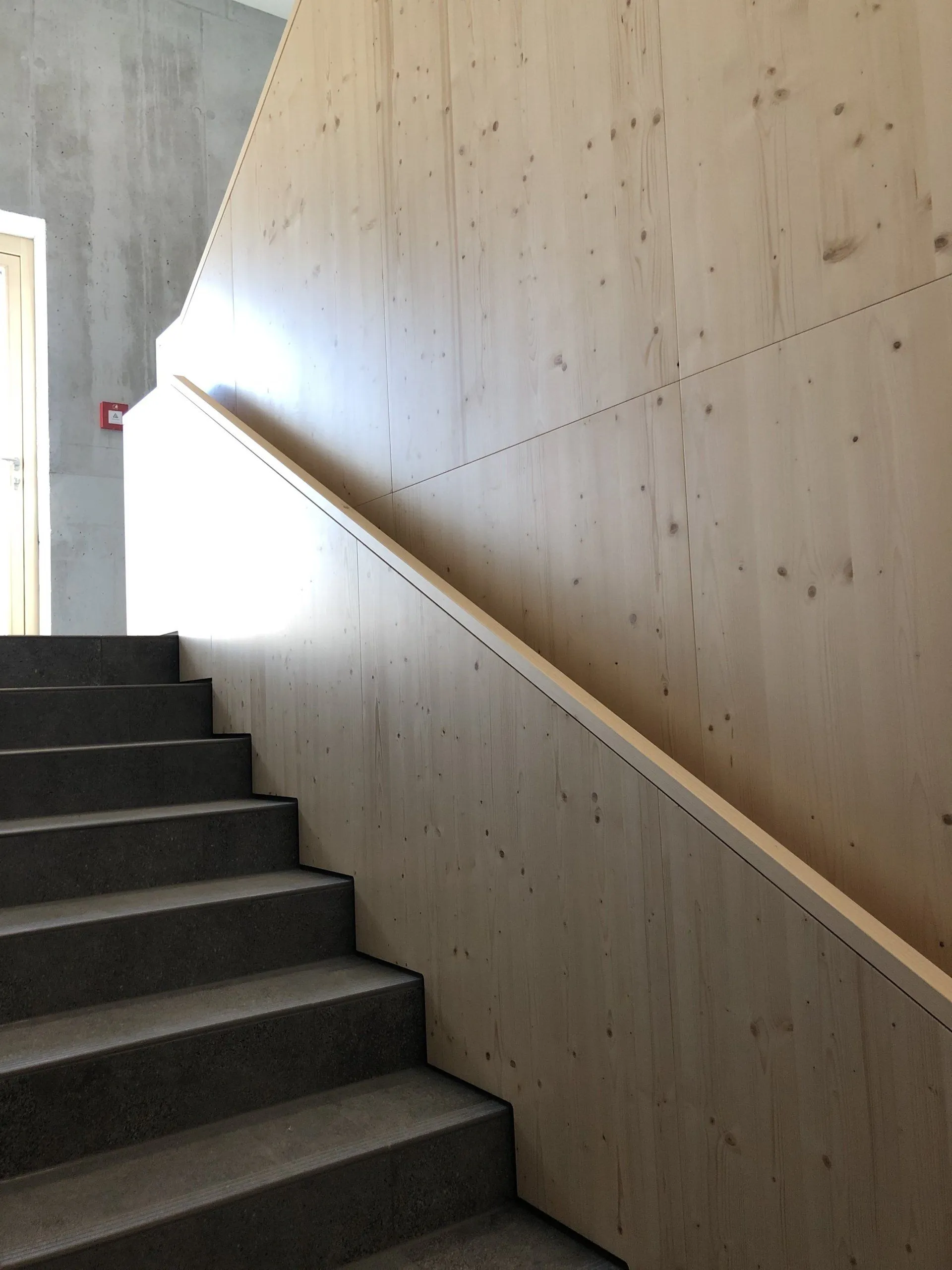 Treppe mit durchgehender Holzwandverkleidung